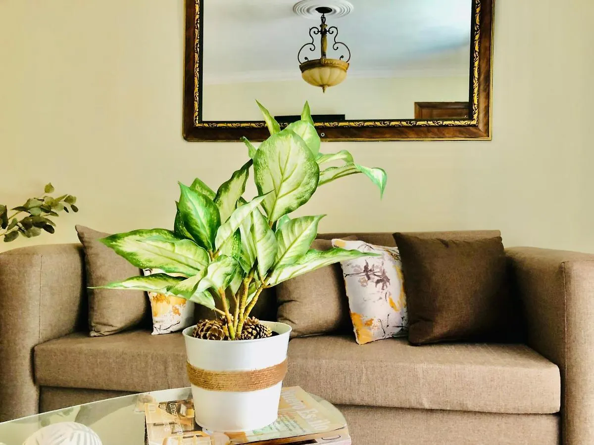 Apartment Cozy Pool View Condo @ Residencial Don Alejandro